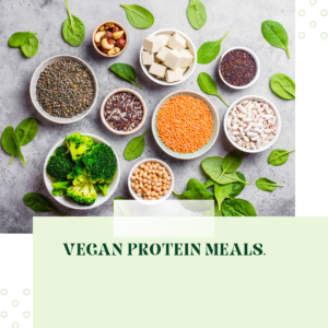vegan protein meals